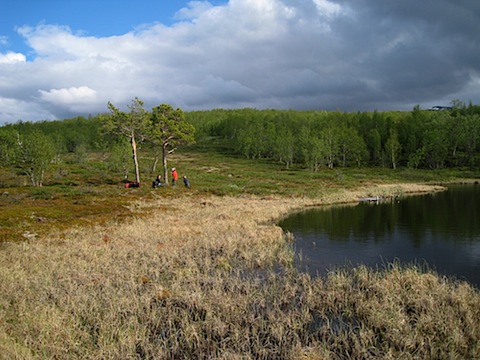 Abisko Juni 2009 dag 3 - 30.jpg